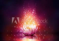 Fototapeta papr 184 x 128, 65113816 - magic flower on water - kouzeln kvt na vod