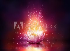 Samolepka flie 200 x 144, 65113816 - magic flower on water