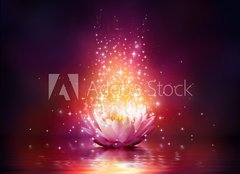 Fototapeta pltno 240 x 174, 65113816 - magic flower on water - kouzeln kvt na vod