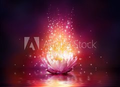 Fototapeta papr 254 x 184, 65113816 - magic flower on water - kouzeln kvt na vod