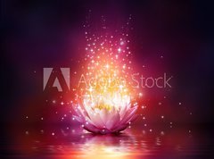 Samolepka flie 270 x 200, 65113816 - magic flower on water - kouzeln kvt na vod