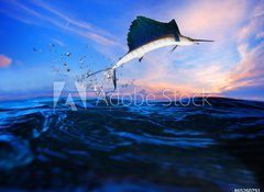 Samolepka flie 100 x 73, 65260791 - sailfish flying over blue sea ocean - plachetnice ltn pes modr mosk ocen