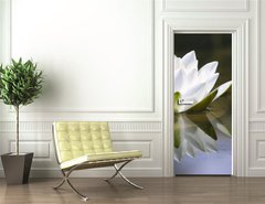 Samolepka na dvee flie 90 x 220  white delicate water lily, 90 x 220 cm