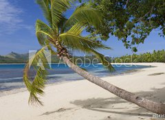 Fototapeta100 x 73  Tropical Paradise  Fiji  South Pacific Ocean, 100 x 73 cm