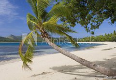 Fototapeta145 x 100  Tropical Paradise  Fiji  South Pacific Ocean, 145 x 100 cm