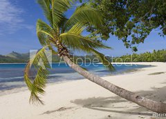 Samolepka flie 200 x 144, 65416367 - Tropical Paradise - Fiji - South Pacific Ocean - Tropick rj