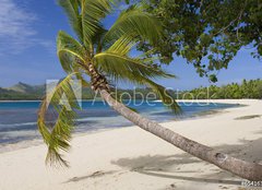 Fototapeta pltno 240 x 174, 65416367 - Tropical Paradise - Fiji - South Pacific Ocean - Tropick rj