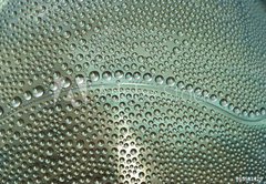 Samolepka flie 145 x 100, 65581429 - waterdrops