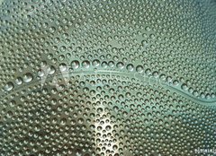 Fototapeta plátno 160 x 116, 65581429 - waterdrops - kapky vody