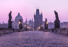 Fototapeta pltno 174 x 120, 65732979 - Karlov Bridge
