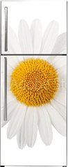 Samolepka na lednici flie 80 x 200  White daisy, 80 x 200 cm