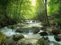 Samolepka flie 100 x 73, 65985516 - forest waterfall - lesn vodopd