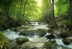 Samolepka flie 145 x 100, 65985516 - forest waterfall