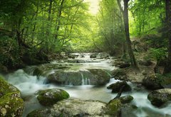 Fototapeta pltno 174 x 120, 65985516 - forest waterfall