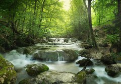 Fototapeta184 x 128  forest waterfall, 184 x 128 cm