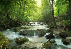 Fototapeta184 x 128  forest waterfall, 184 x 128 cm