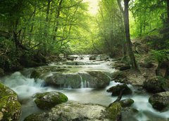 Samolepka flie 200 x 144  forest waterfall, 200 x 144 cm