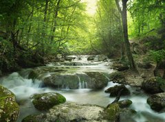 Samolepka flie 270 x 200  forest waterfall, 270 x 200 cm