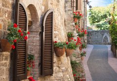 Samolepka flie 145 x 100  Vicolo con fiori, 145 x 100 cm