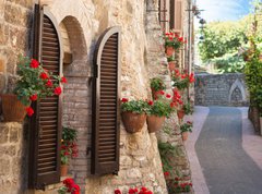 Samolepka flie 270 x 200  Vicolo con fiori, 270 x 200 cm