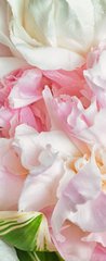 Samolepka na dvee flie 90 x 220, 66072347 - Blooming peonies