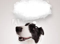 Samolepka flie 100 x 73, 66240953 - Cute dog with empty cloud bubble - Roztomil pes s przdnou bublinou mrak