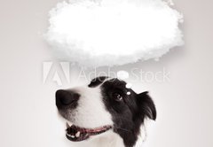 Fototapeta vliesov 145 x 100, 66240953 - Cute dog with empty cloud bubble