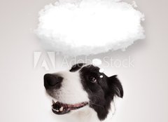 Fototapeta160 x 116  Cute dog with empty cloud bubble, 160 x 116 cm