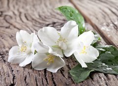 Fototapeta vliesov 100 x 73, 66432530 - Jasmine flowers over old wooden table.