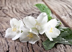 Fototapeta160 x 116  Jasmine flowers over old wooden table., 160 x 116 cm