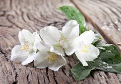 Fototapeta papr 184 x 128, 66432530 - Jasmine flowers over old wooden table. - Jasmnov kvtiny nad starm devnm stolem.