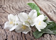 Fototapeta200 x 144  Jasmine flowers over old wooden table., 200 x 144 cm