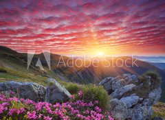 Samolepka flie 100 x 73, 66580383 - Dawn with flowers in the mountains - svit s kvtinami v horch