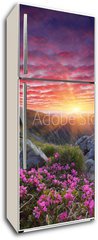Samolepka na lednici flie 80 x 200, 66580383 - Dawn with flowers in the mountains