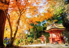 Fototapeta papr 184 x 128, 66639036 - Tanzan Shrine - Svatyn Tanzan
