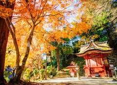 Fototapeta vliesov 200 x 144, 66639036 - Tanzan Shrine - Svatyn Tanzan