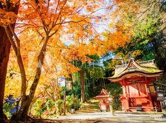 Samolepka flie 270 x 200, 66639036 - Tanzan Shrine - Svatyn Tanzan