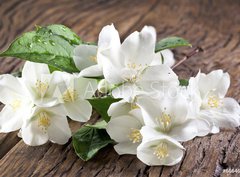 Fototapeta papr 360 x 266, 66646969 - Jasmine flowers over old wooden table.