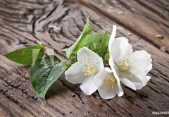 Samolepka flie 145 x 100  Jasmine flowers over old wooden table., 145 x 100 cm