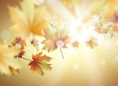 Samolepka fólie 100 x 73, 66663515 - Autumn leaves - Podzimní listí