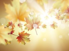 Samolepka flie 270 x 200, 66663515 - Autumn leaves