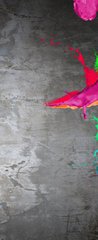 Samolepka na dvee flie 90 x 220  Painting background, 90 x 220 cm