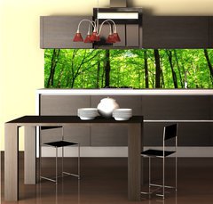Fototapeta do kuchyně fólie 260 x 60, 66883526 - forest