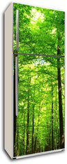 Samolepka na lednici fólie 80 x 200, 66883526 - forest