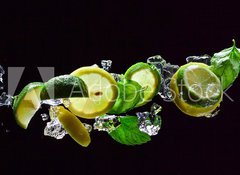 Samolepka flie 100 x 73, 66945835 - Mojito