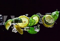 Samolepka flie 145 x 100, 66945835 - Mojito