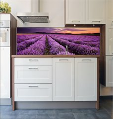 Fototapeta do kuchyn flie 180 x 60, 67101822 - Sunrise in Lavender Field