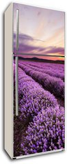 Samolepka na lednici flie 80 x 200, 67101822 - Sunrise in Lavender Field