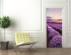 Samolepka na dvee flie 90 x 220, 67101822 - Sunrise in Lavender Field