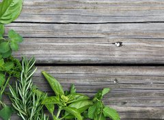 Samolepka flie 100 x 73, 67467429 - herbs